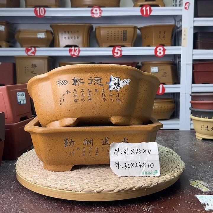 紫砂花盆蛇年大吉