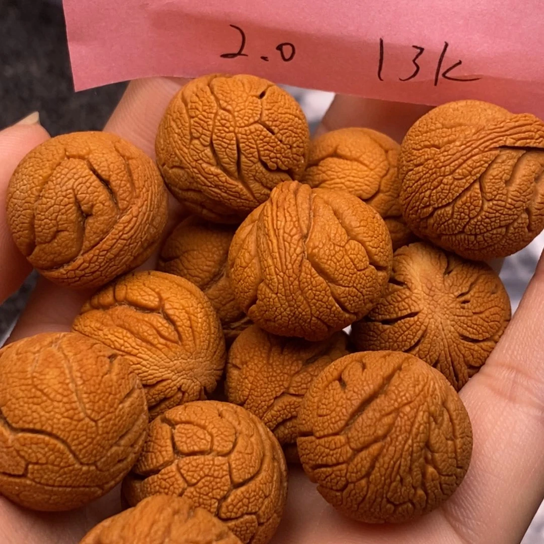 秦岭山脉龙纹桃核单圈