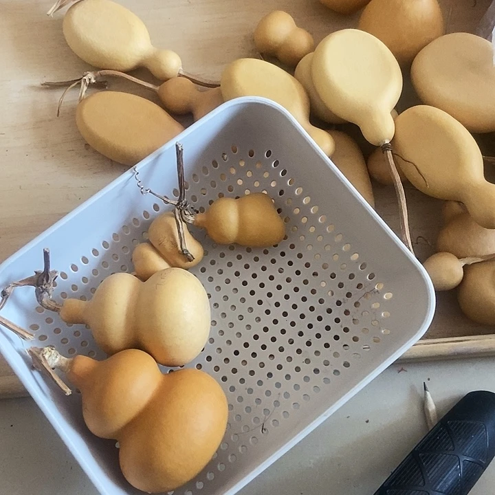 今***饭不吃饭不吃饭不吃饭