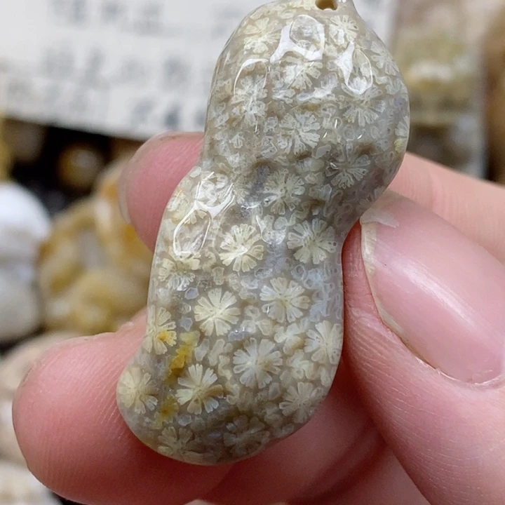 颈饰未镶嵌硅化珊瑚（珊瑚玉）