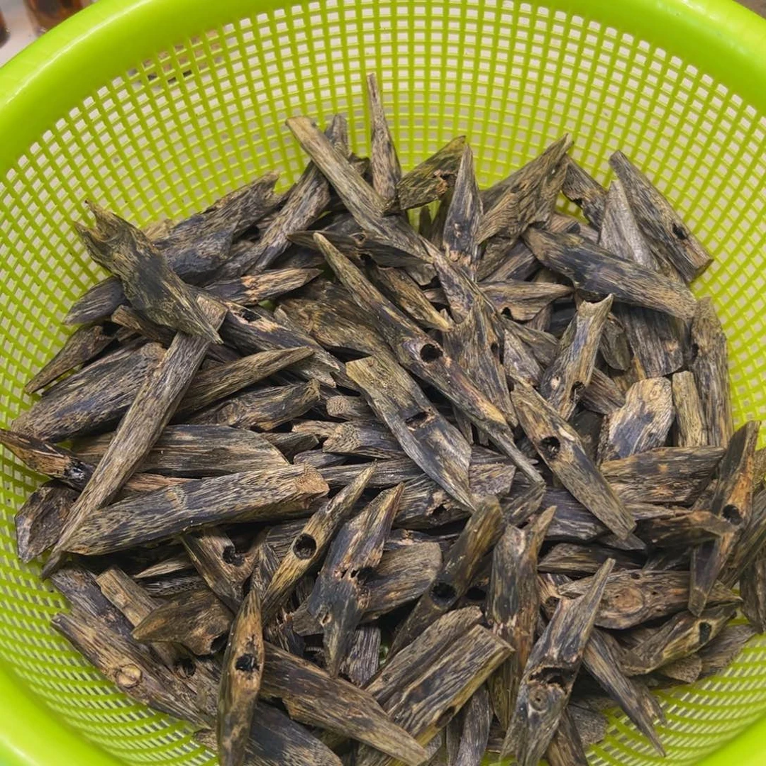 沉香碎屑沉香蓝宝石树枝料100克