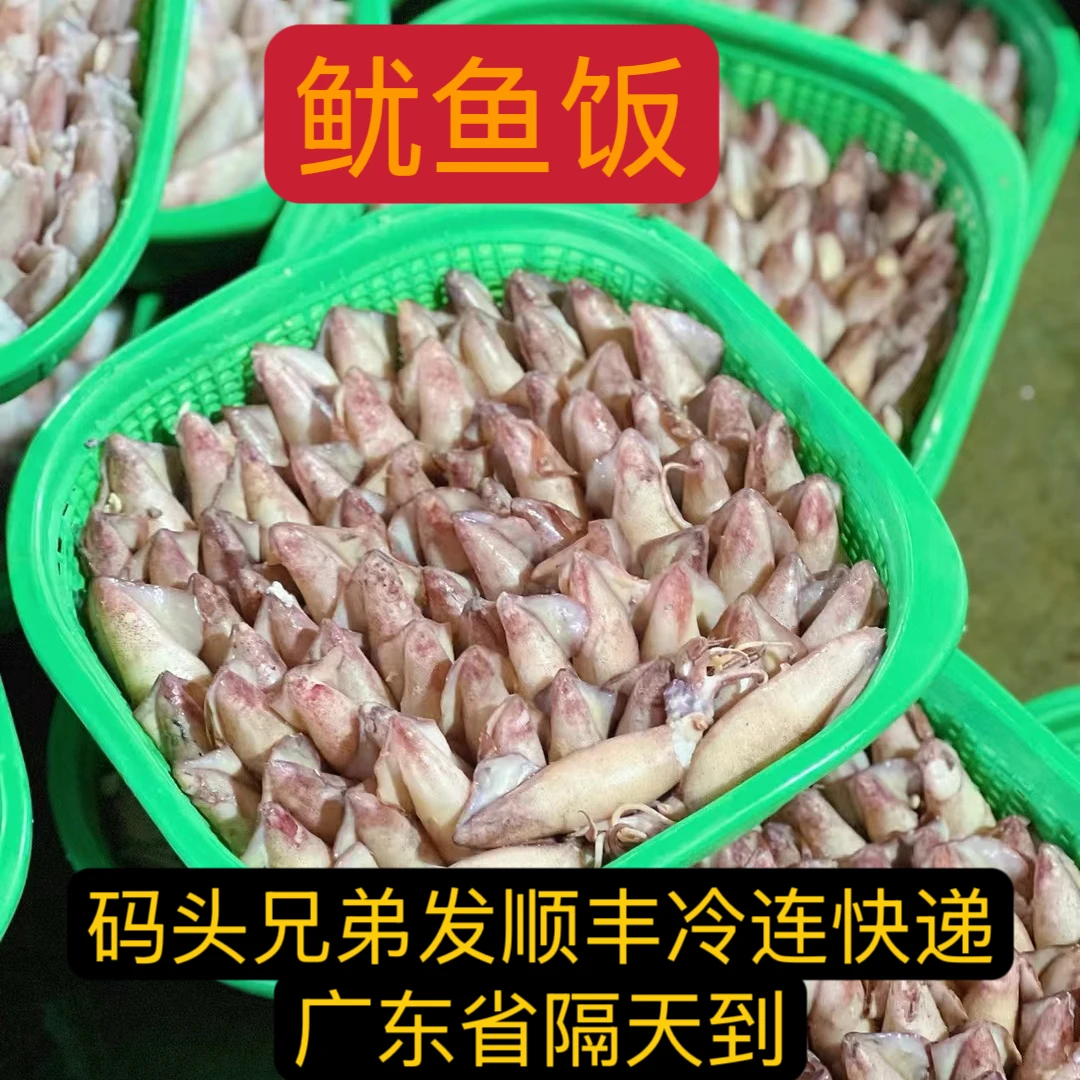 潮汕打冷鱿鱼 每天鲜抓鲜甜（顺丰发货）