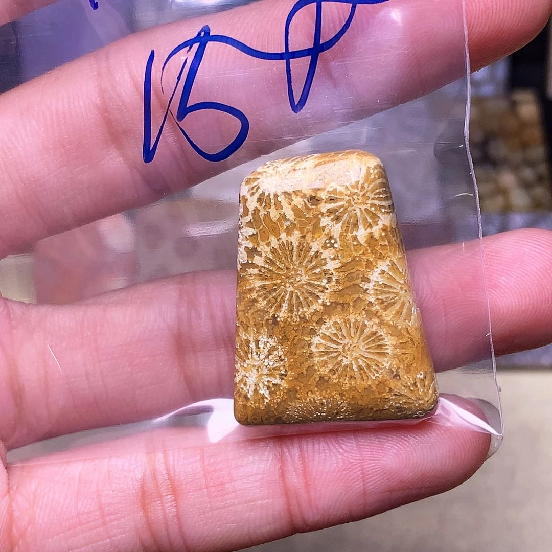 硅化玉珠宝奇石合金～***～