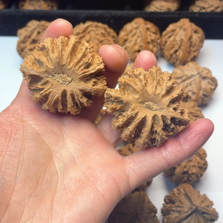 文玩核桃把件上***生文玩城的小伙伴们