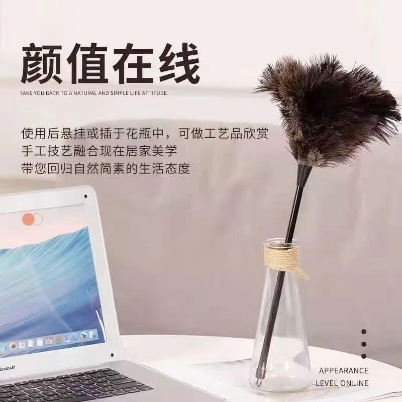 2713  家用扫灰神器鸵鸟毛不掉毛除尘掸子