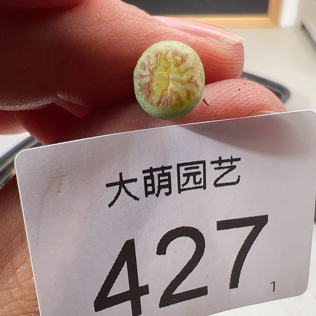 0000427 一物一拍……