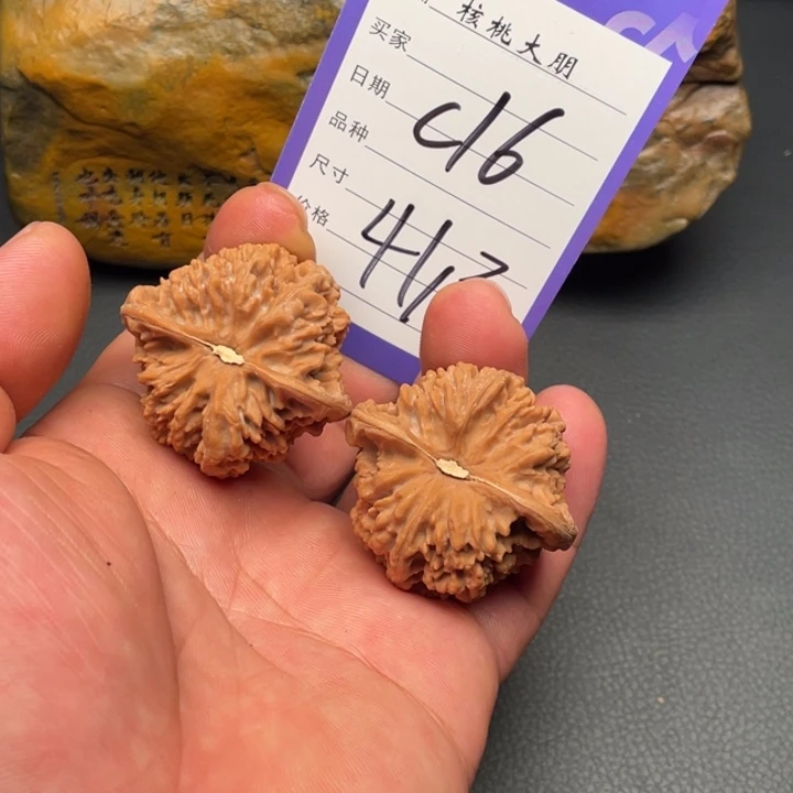 核桃满天星41尺寸全品