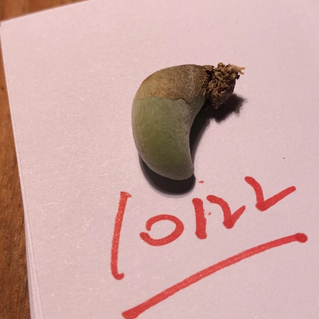 10122一个一个一个