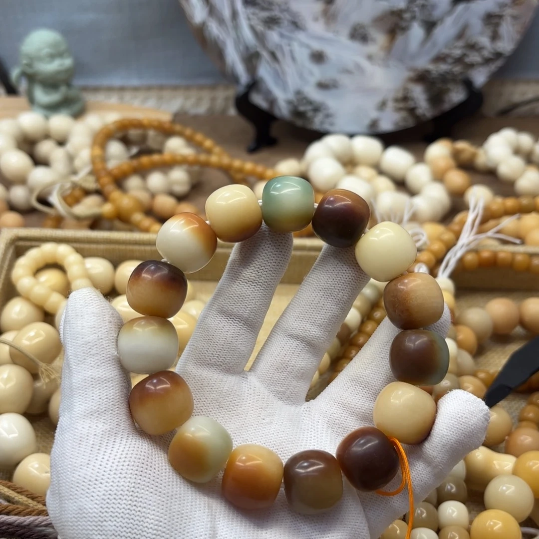 吊坠菩提根/象牙果18干磨落地果小瑕疵冰裂纹桶133