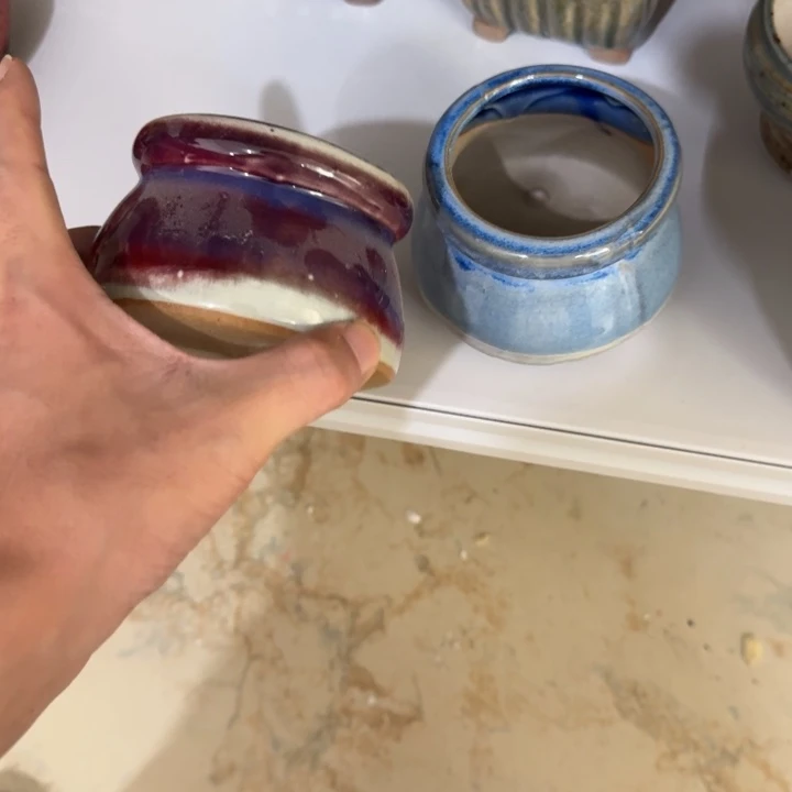 花盆花盆花盆花盆