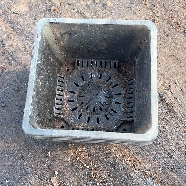 塑料口径17.5 大黑方一组10个