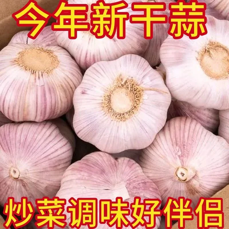 【2025新干蒜】农家自种紫白皮大蒜干大蒜头3斤5斤新干蒜厨房调味品