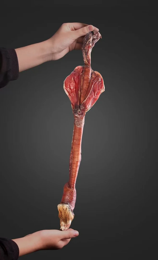 鹿鞭鲜货干货整根发货