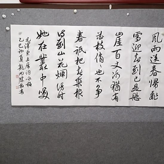 书法40咏梅说书法作品