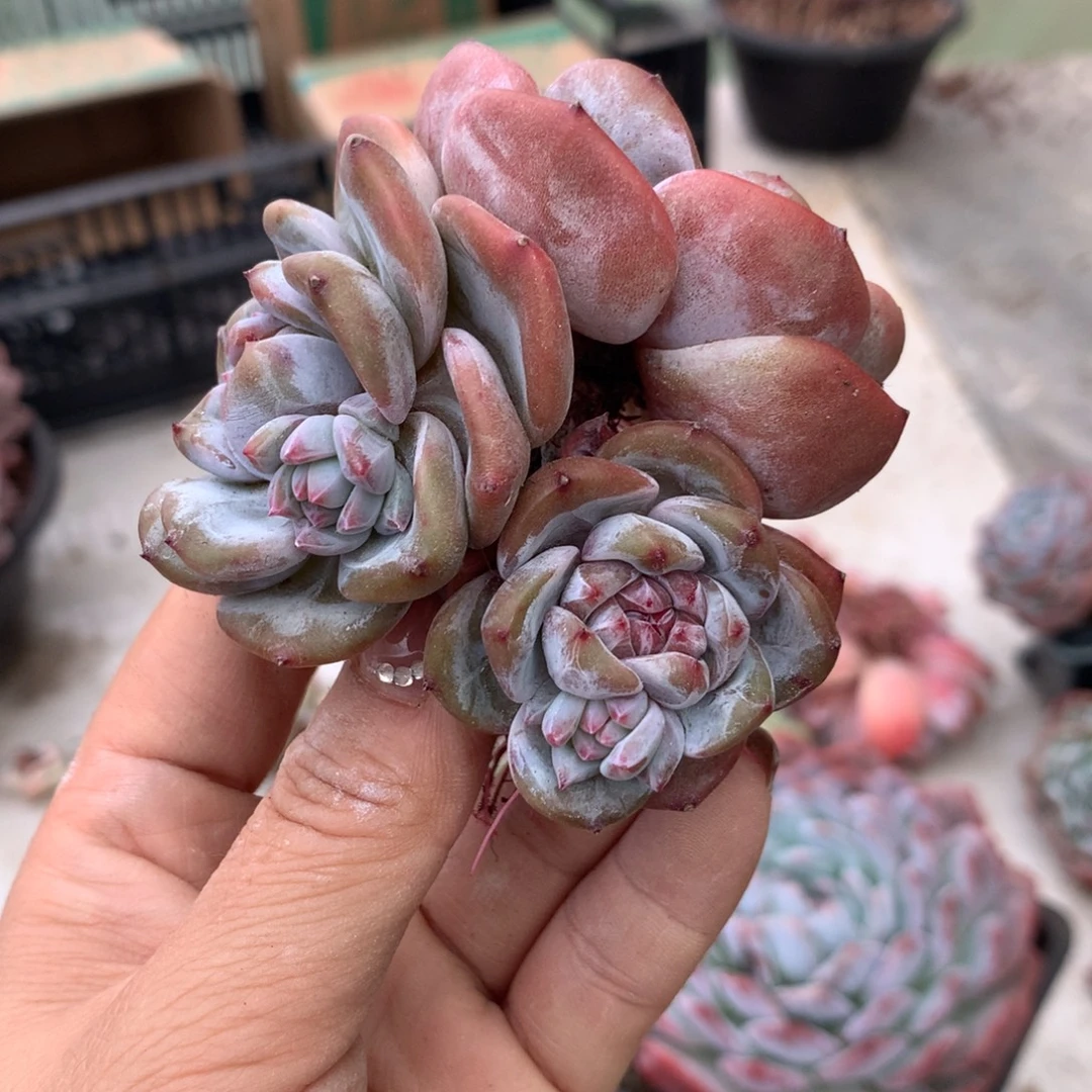 哈哈哈哈哈哈哈哈哈哈哈