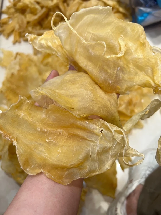 20头东南亚顺丰斗湖公（1-500g直播间可现称现拍）