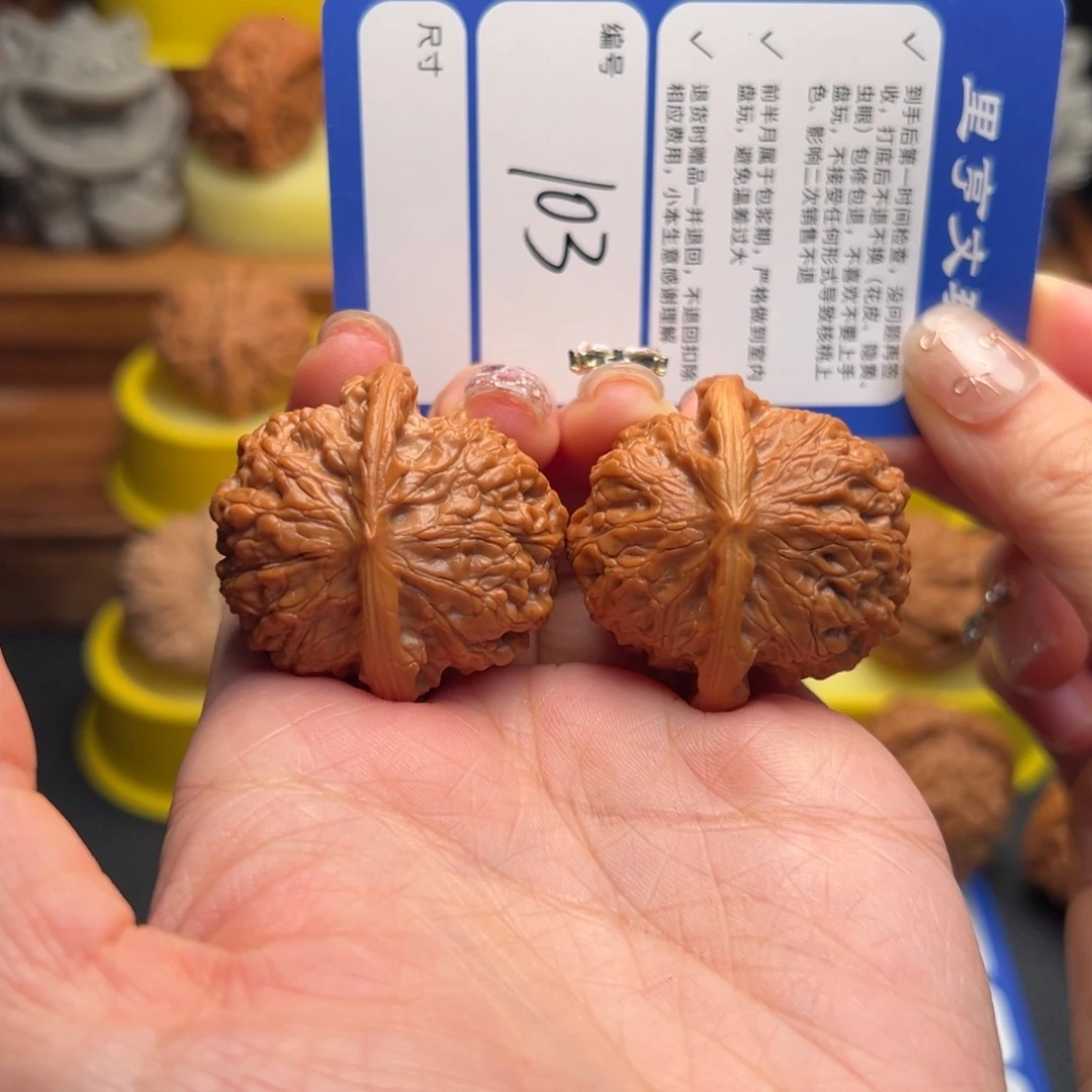 核桃103血麒麟37尺