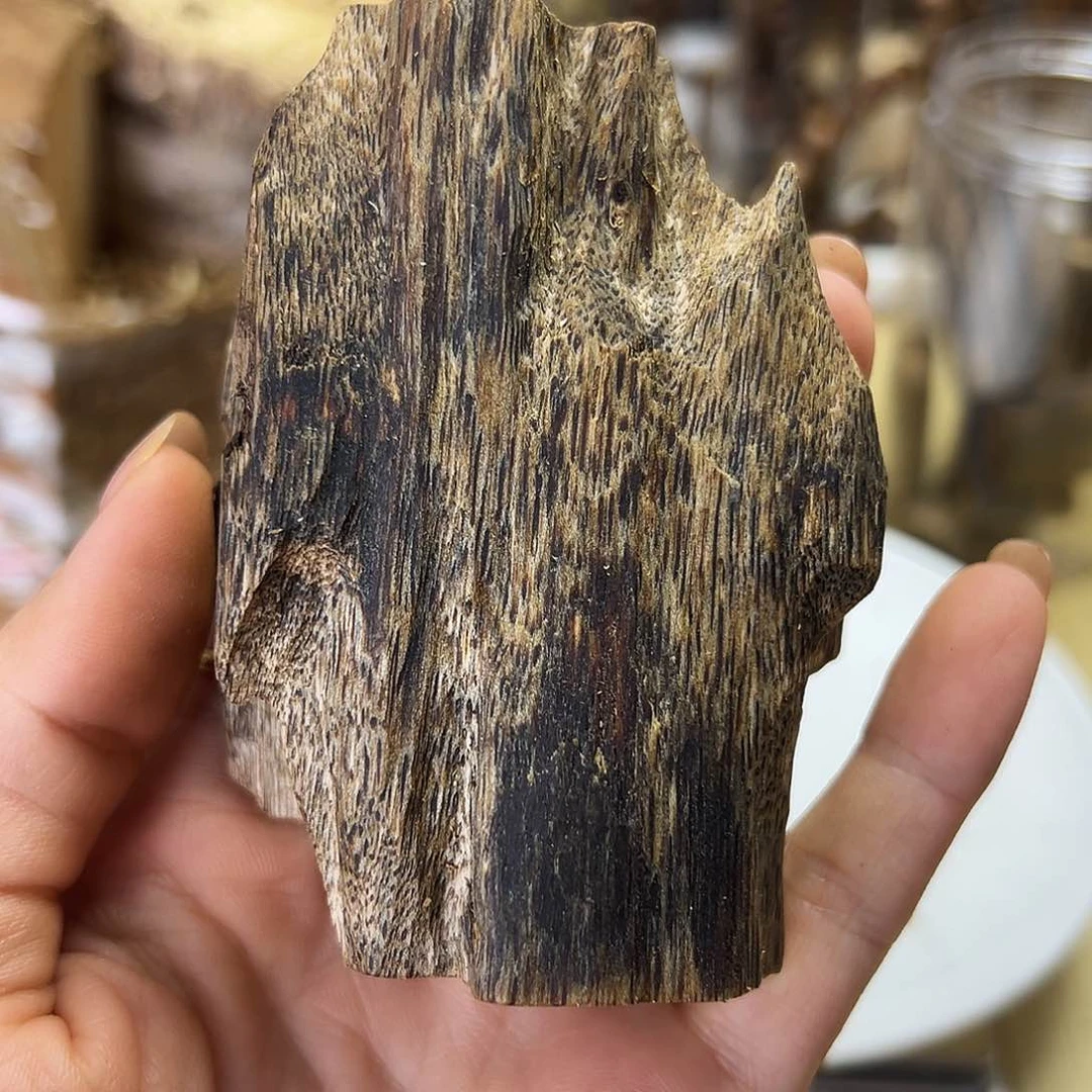 木绿奇楠虫漏53克