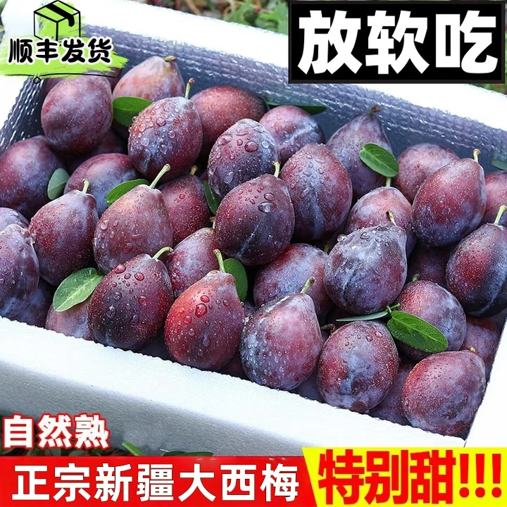 【顺丰快递】新疆喀什蓝蜜西梅整箱3/5斤新鲜采摘果型饱满香甜多汁