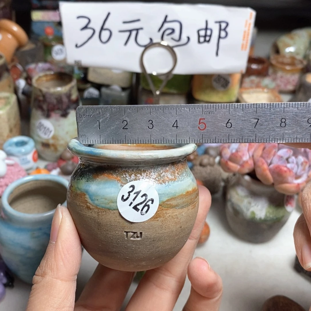 拍5送一个小礼物