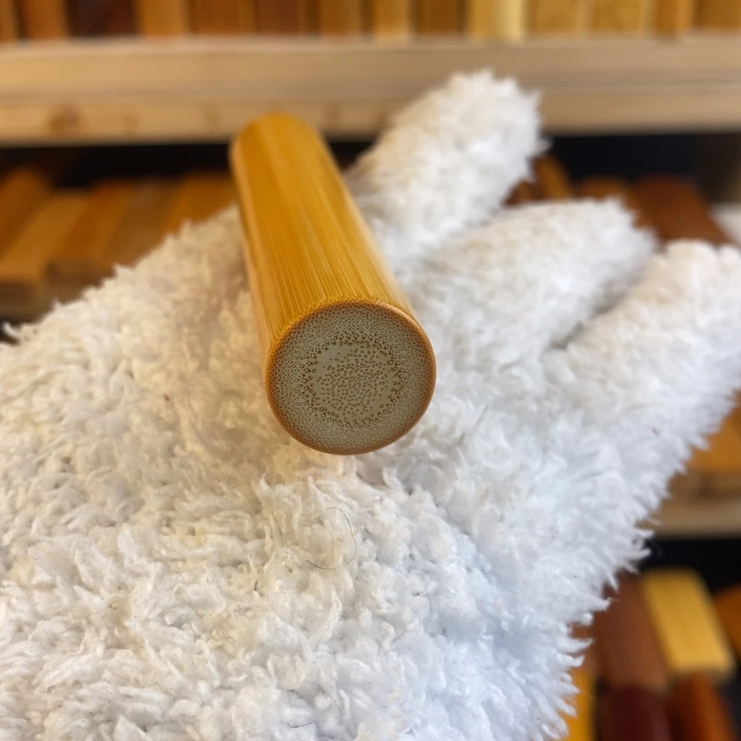 竹实心玉竹 一物一图