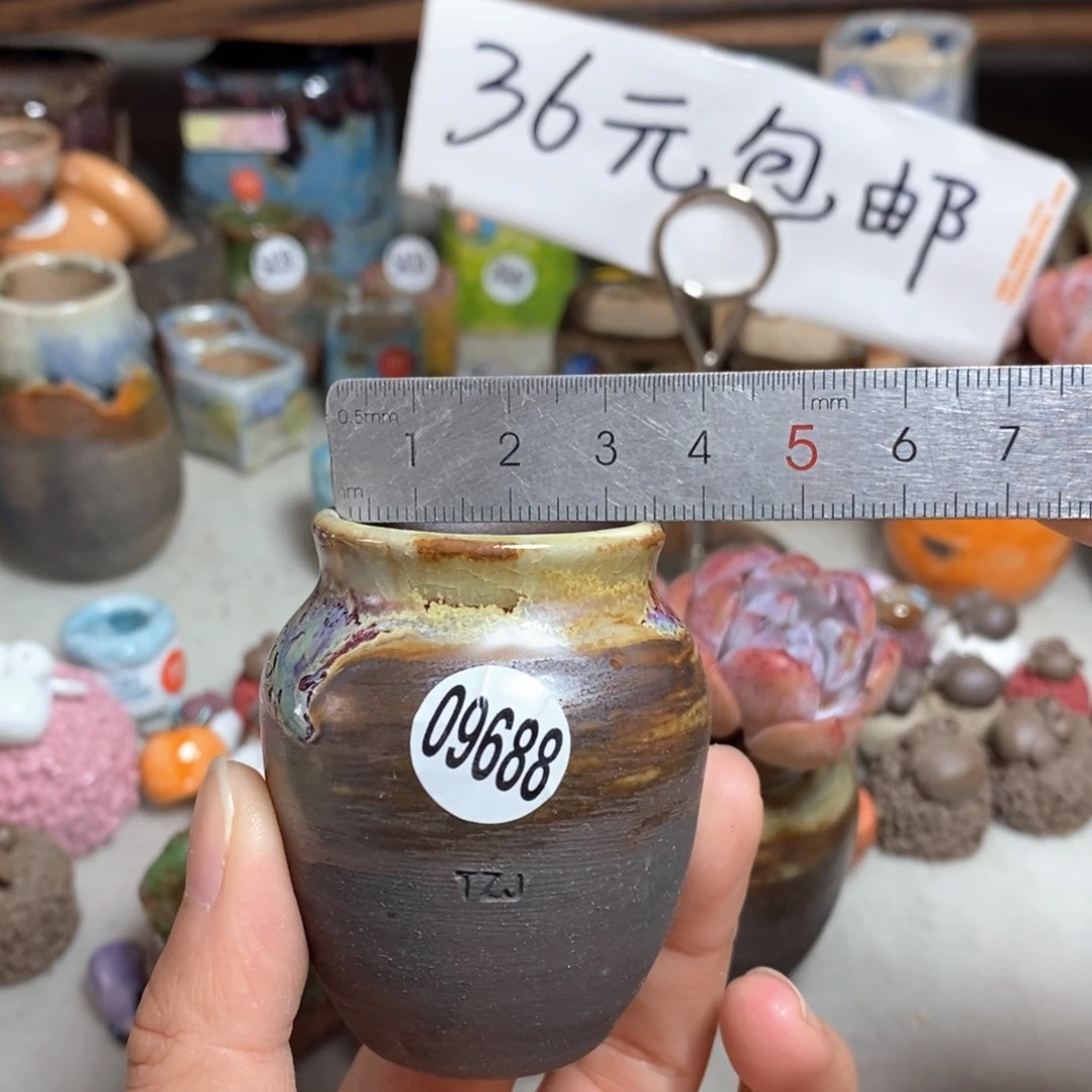 拍5送一个小礼物
