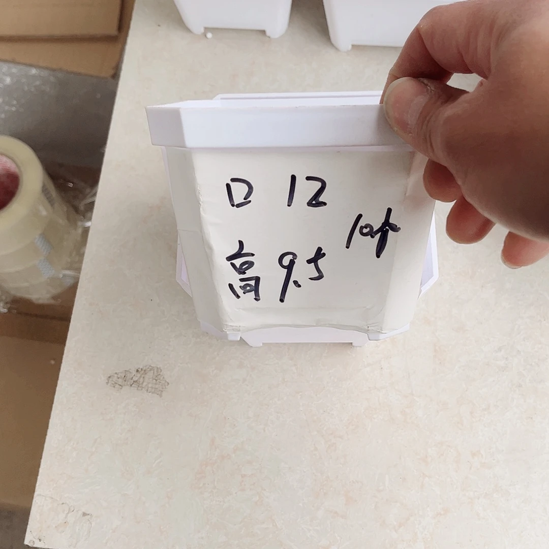 塑料加厚斜角款12方白色盆10个无托