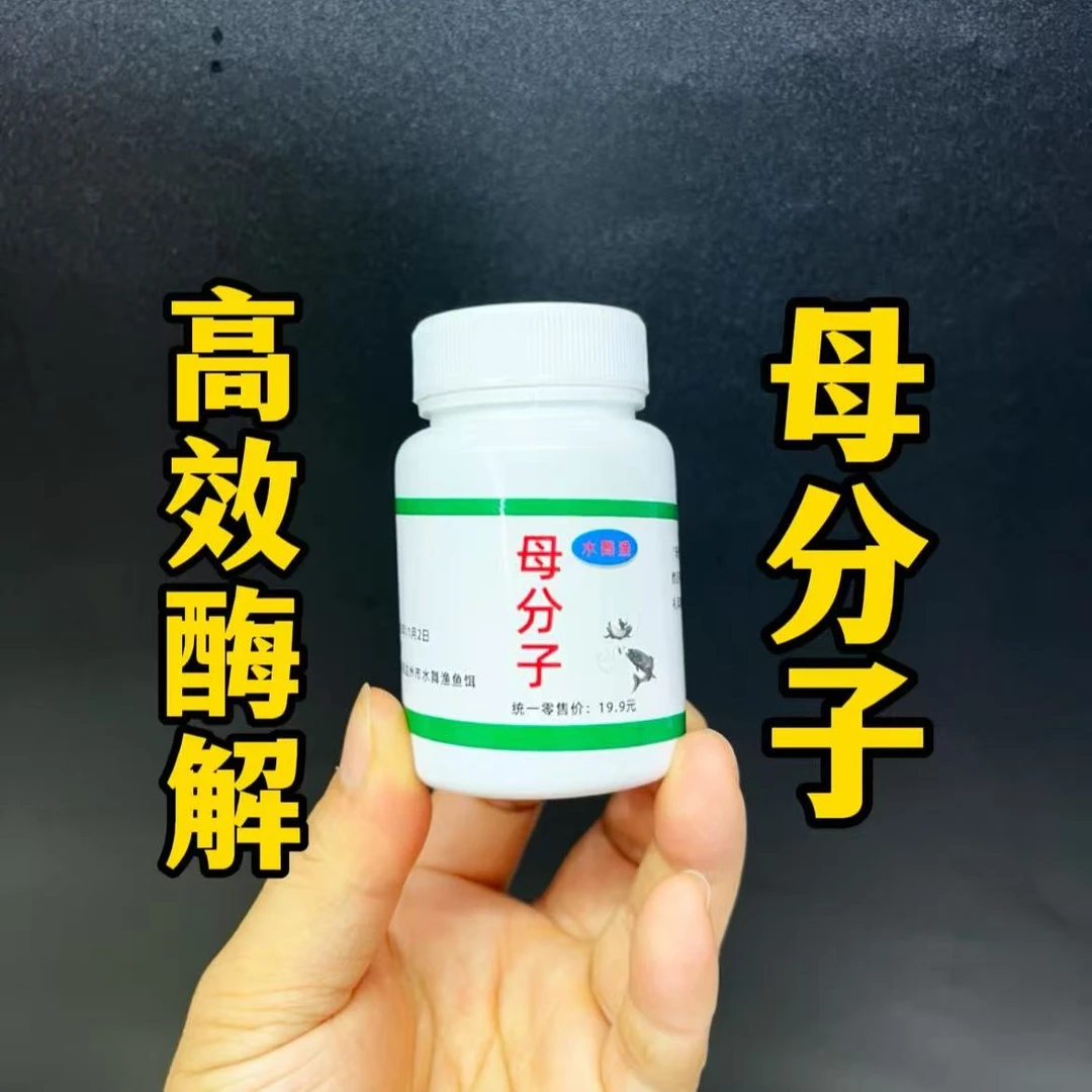 水舞渔《母分子》自制钓鱼添加剂饵料淡水鱼通用