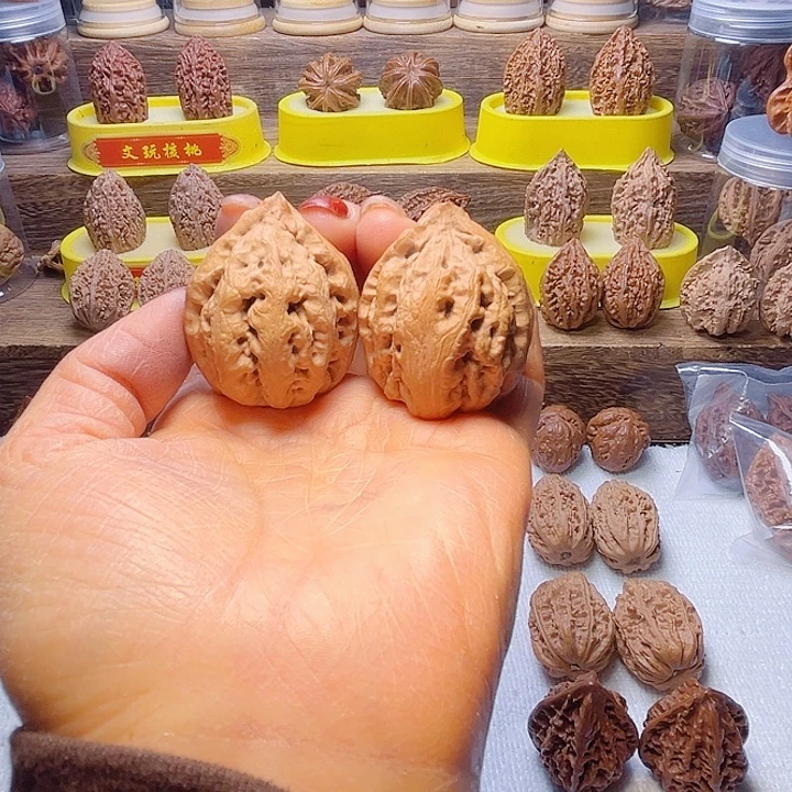 核桃17号车放漏漏漏漏