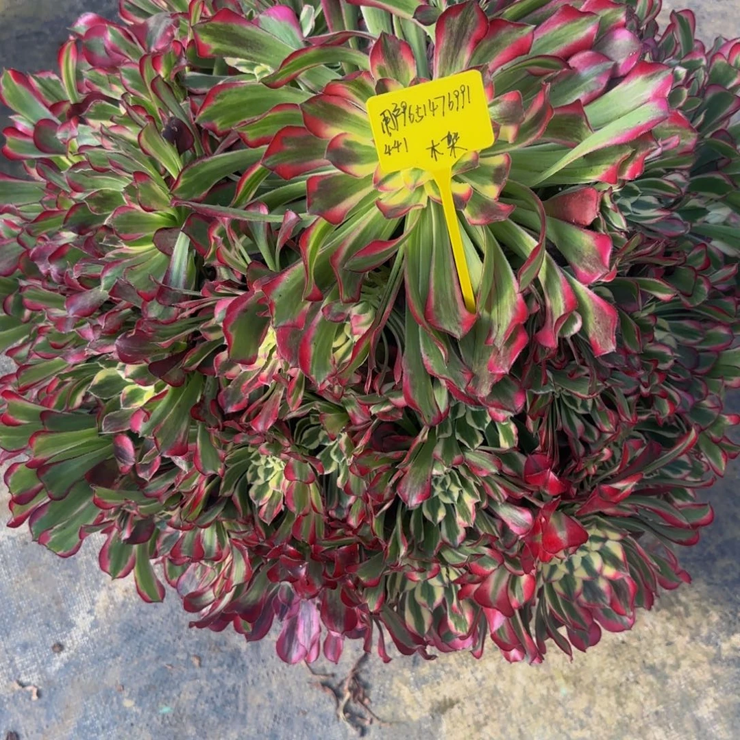 天河88888880088888