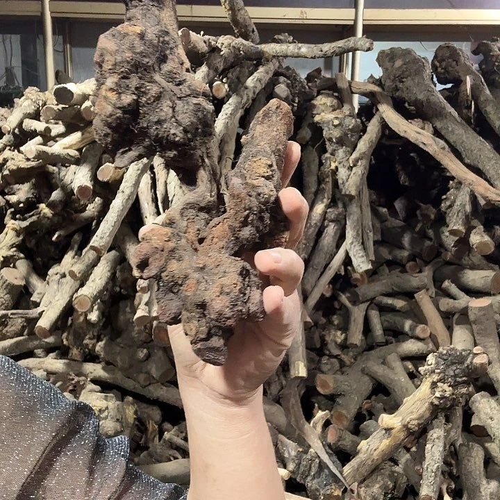 香榧木-*火琉璃的故事