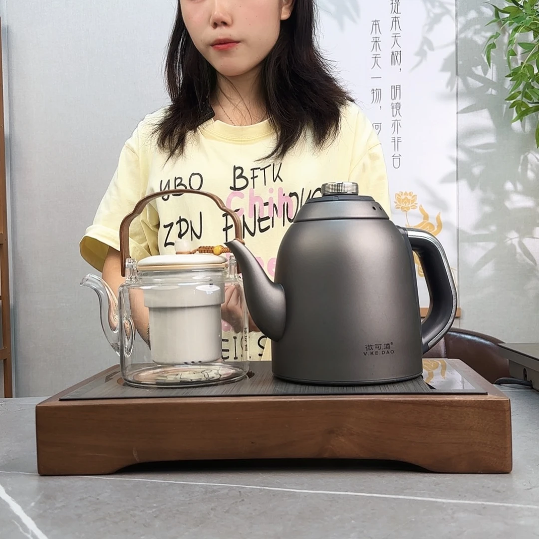 会***狼微可道纯钛煮茶壶家用