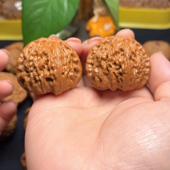 把件文玩核桃白狮子40