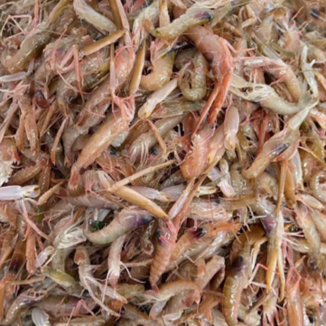 大连嘎巴虾 夹板虾 狗虾 小海虾 顺丰发货