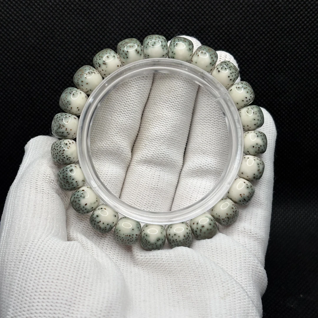 【DADONG】鼎货！10mm！绿背！河豚 星月菩提一物一图