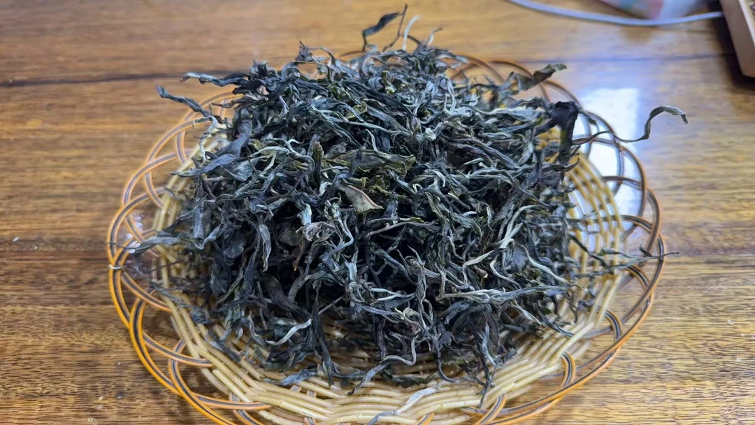 冰岛老寨82号2025年明后古树散茶