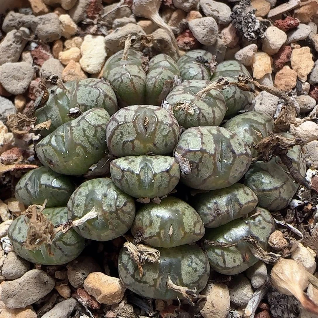 哈哈哈哈哈哈哈74