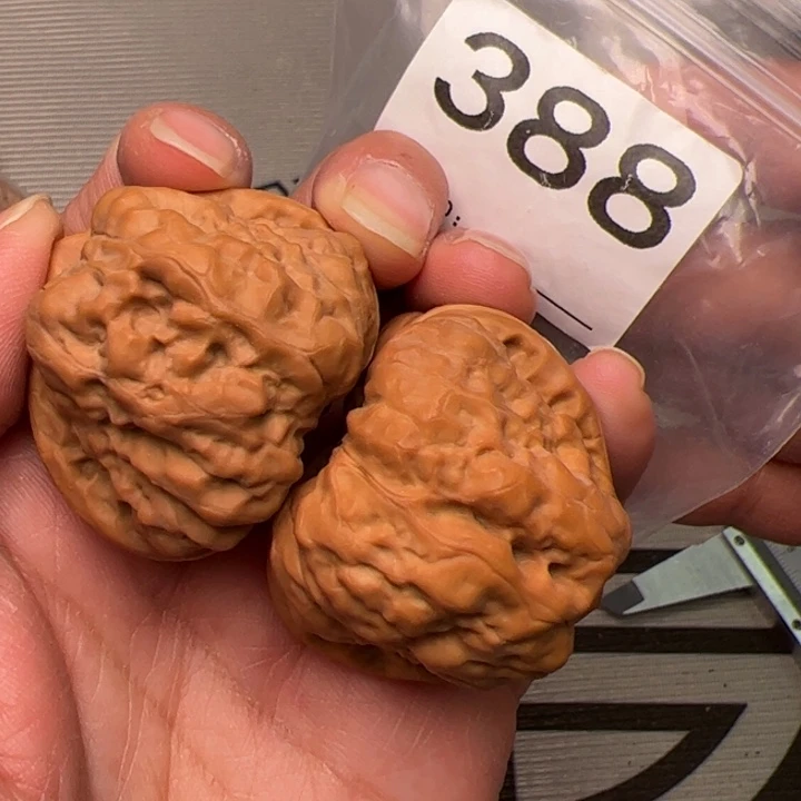 核桃边40肚42尺388