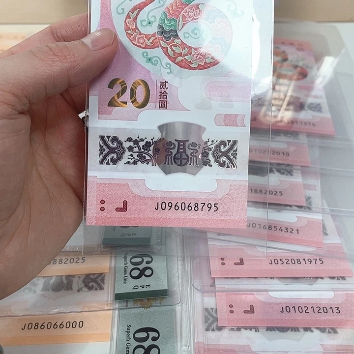 塑料蛇钞-8795———————-