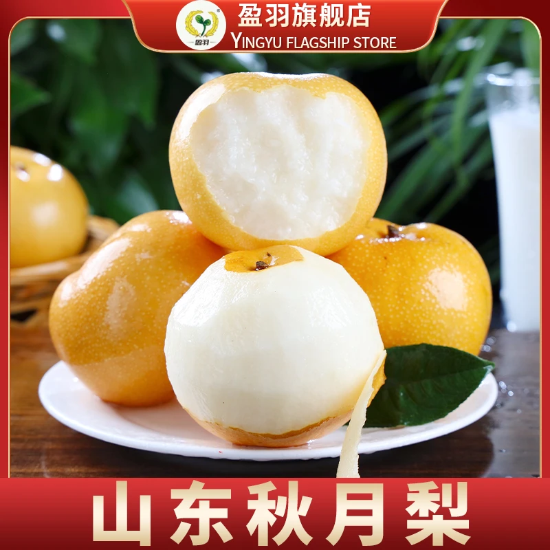 【盈羽】山东秋月梨彩箱4.5斤（4-9个）单果260g起