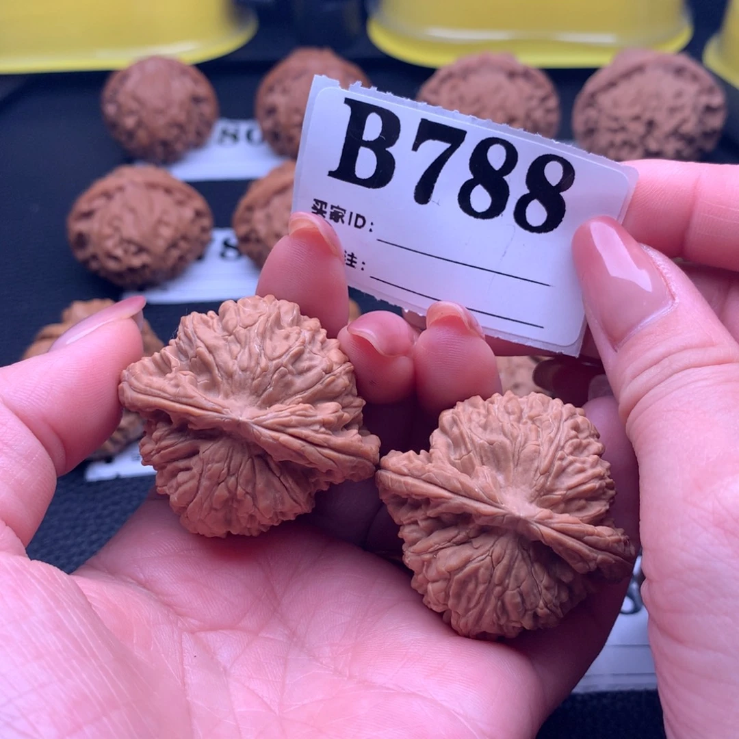 核桃白狮788链接41尺全