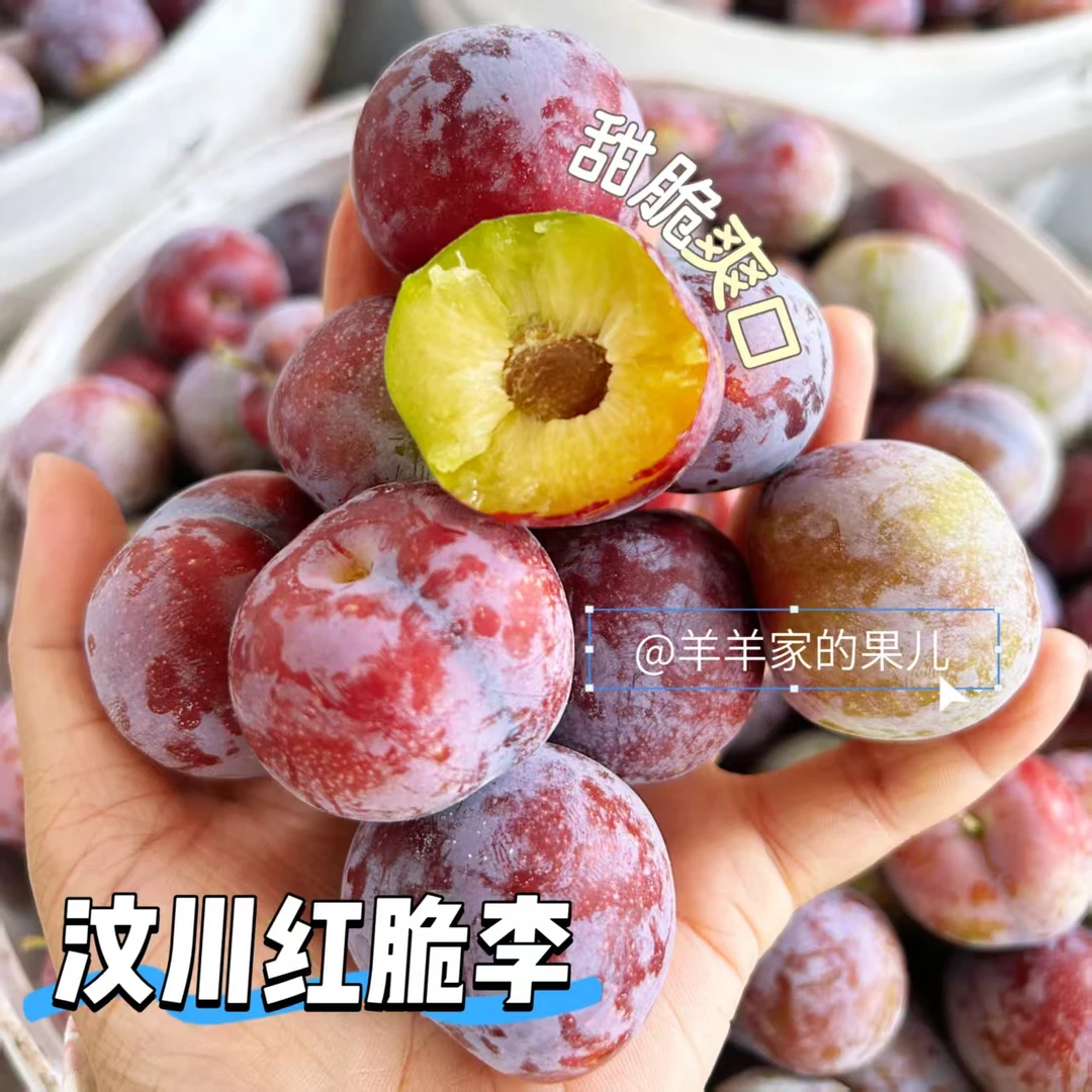 【顺丰包邮】正宗汶川红脆李脱骨李肉厚新鲜产地直发