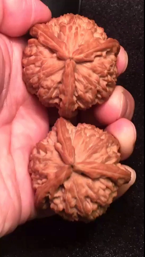 天然三棱文玩核桃满菊花底狮子头精品