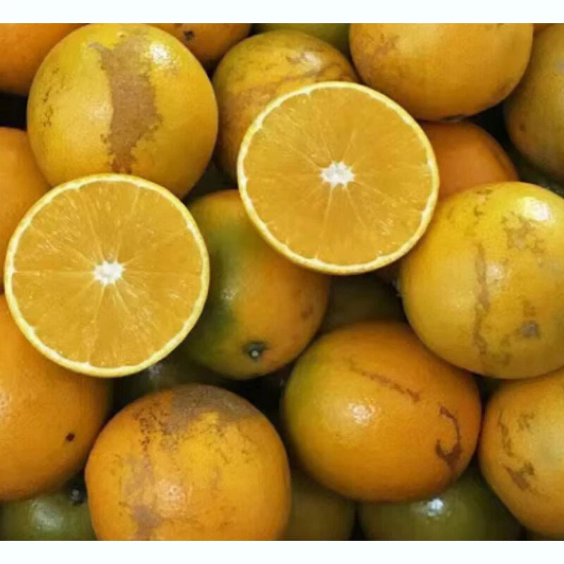 哀牢山花斑果1.5kg