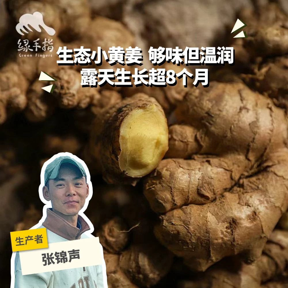 生态小黄姜 绿手指份额农园