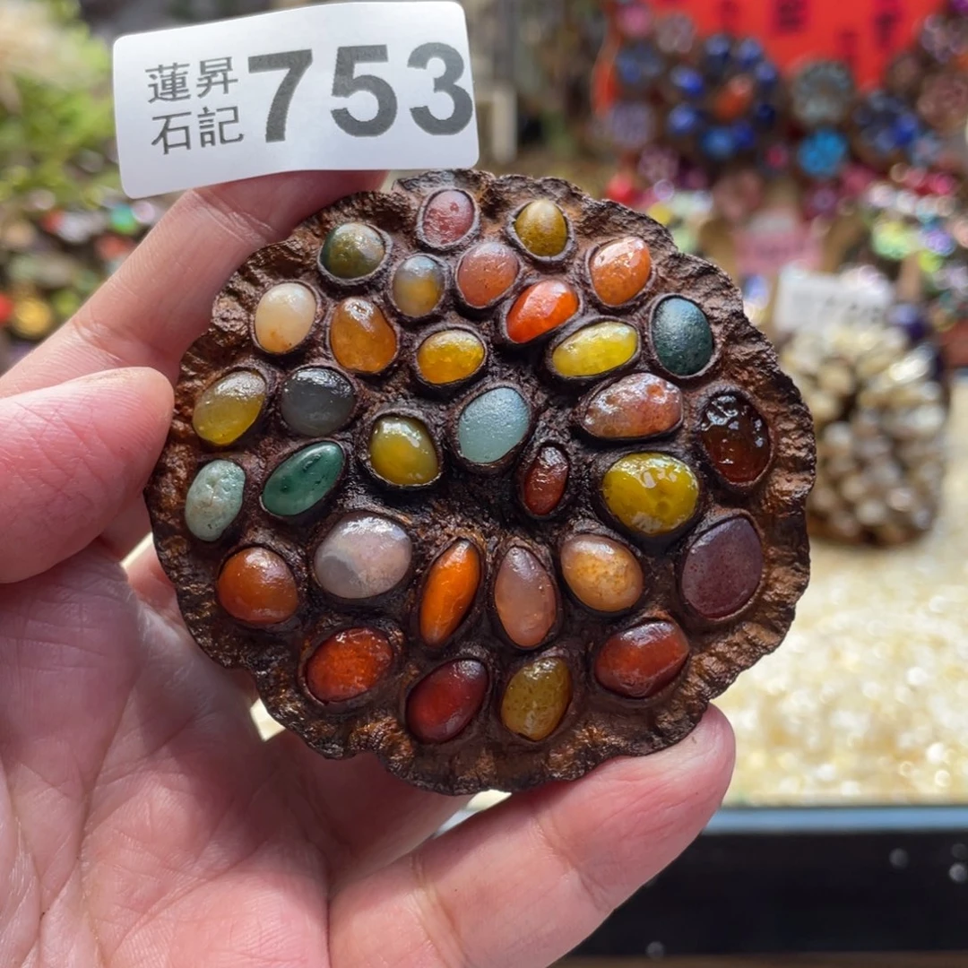 核桃木/黑胡桃（胡桃木）753