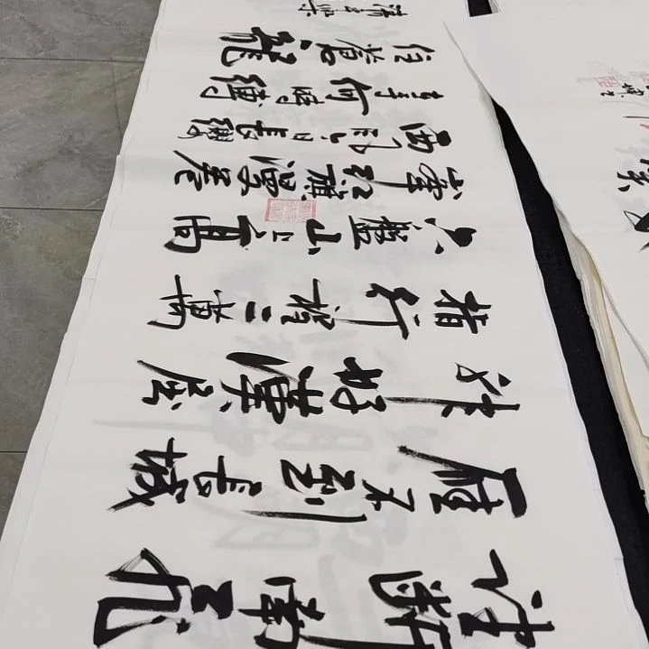 翰墨白武坤老师作品