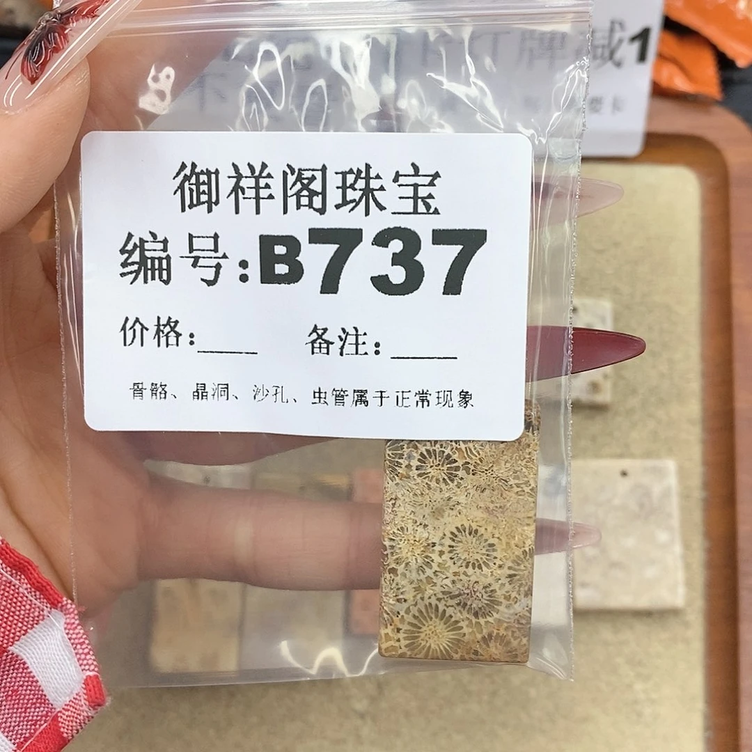 硅化珊瑚（珊瑚玉）颈饰未镶嵌玖*