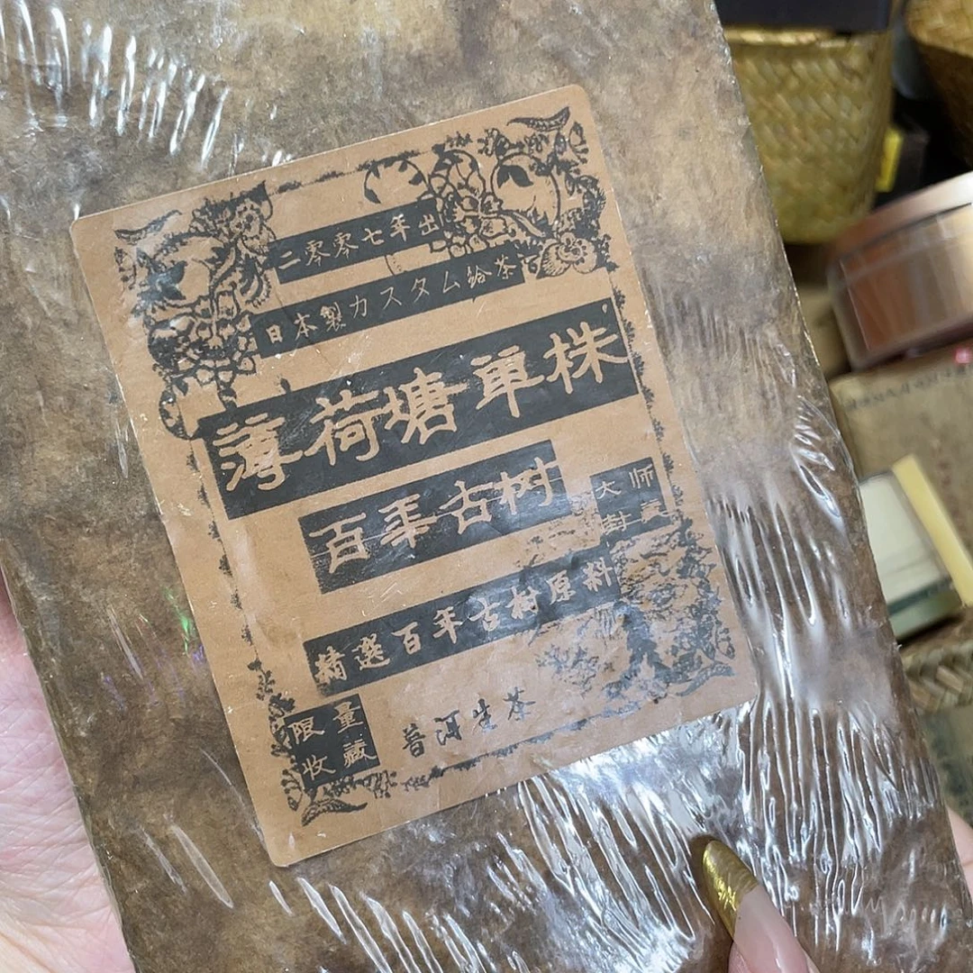 紫砂哈哈哈哈哈哈哈哈哈哈哈