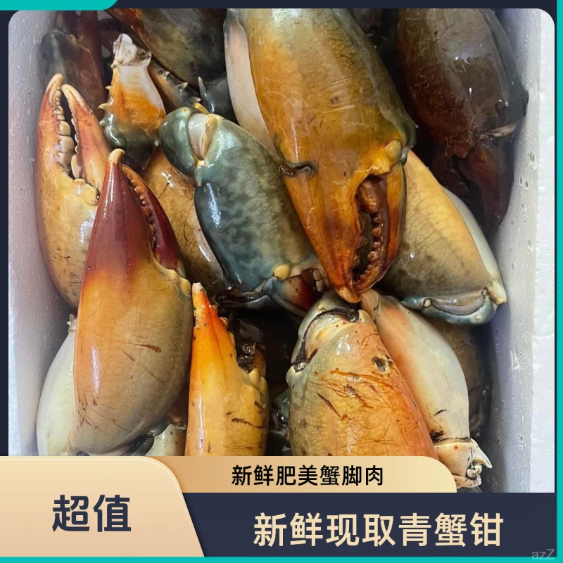 新鲜青蟹腿特大蟹钳鳌大肉多海鲜水产活蟹冷冻青蟹脚野生现掰蟹肉